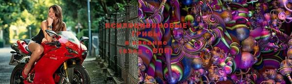 ешки Алексин