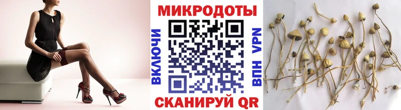 Галлюциногенные грибы Magic Shrooms ОМГ ОМГ ССЫЛКА Ленинск-Кузнецкий
